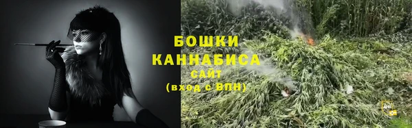 СК Бронницы