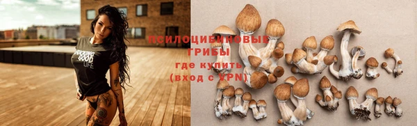 СК Бронницы