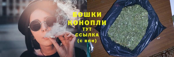СК Бронницы