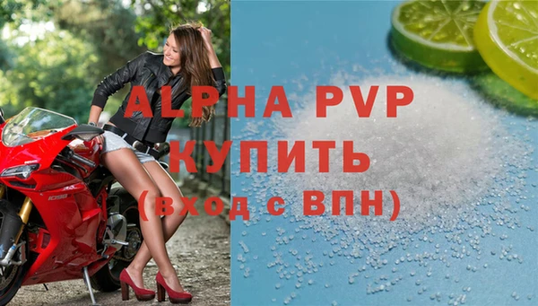 СК Бронницы