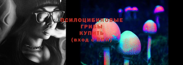 стаф Бородино