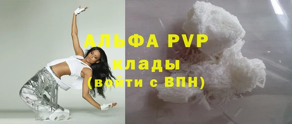 стаф Бородино
