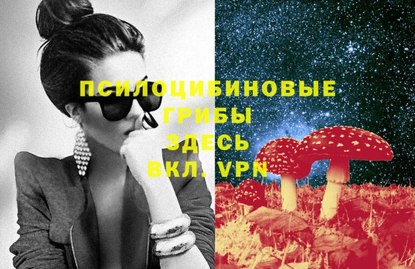СК Бронницы