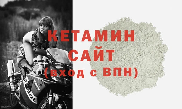стаф Бородино