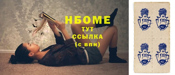 стаф Бородино
