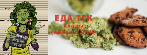 стаф Бородино