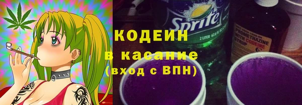 стаф Бородино