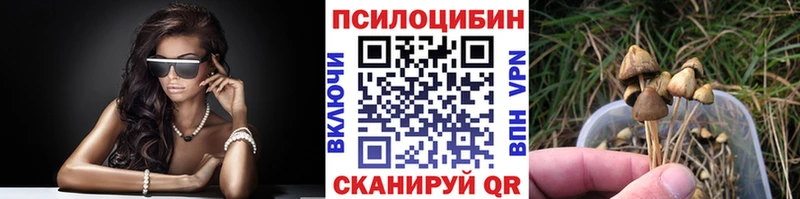 сайты даркнета Telegram  Кочубеевское  Псилоцибиновые грибы Magic Shrooms 